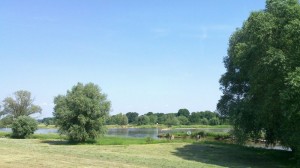 Mündung der Neiße in die Oder