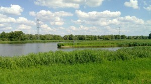 The Welse joining the Oder near Friedrichtsthal
